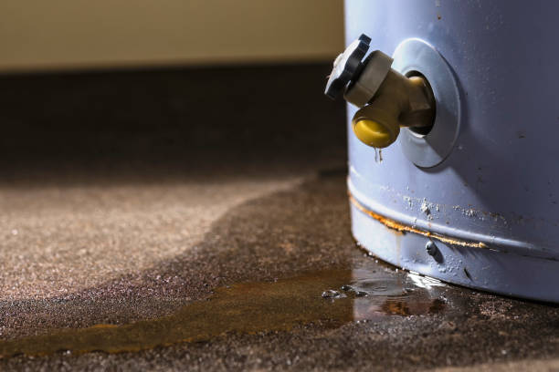 Best Residential water damage restoration  in Eagle, NE