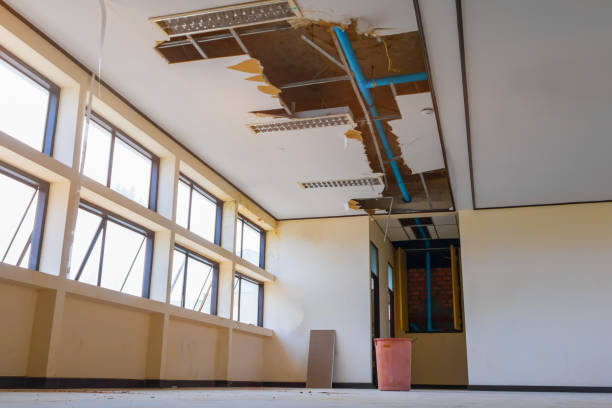 Best Ceiling water damage repair  in Eagle, NE