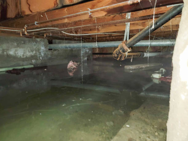 Best Water damage restoration near me  in Eagle, NE