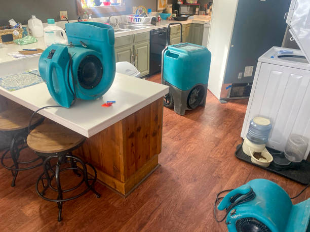Reliable Eagle, NE Water damage restoration Solutions