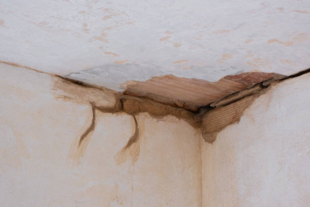 Best Flooded house restoration  in Eagle, NE