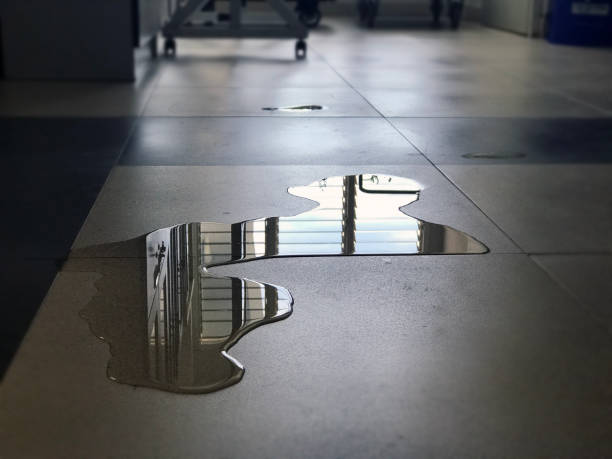 Best 24/7 water damage repair  in Eagle, NE