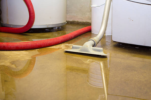 Best Flood restoration services  in Eagle, NE
