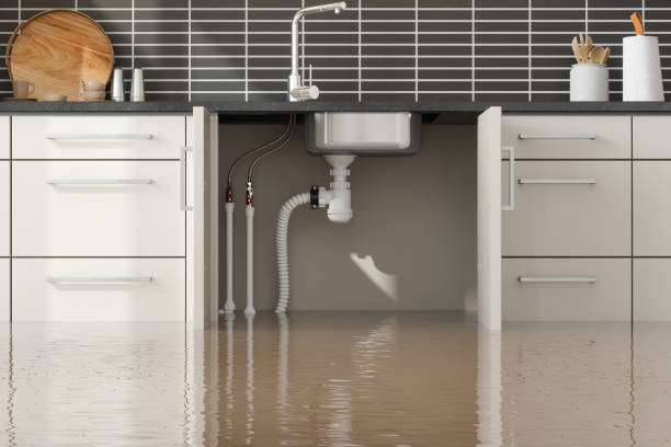 Best Basement water damage restoration  in Eagle, NE