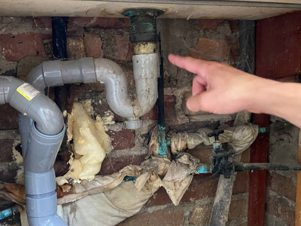 Trusted Eagle, NE Water damage restoration Experts